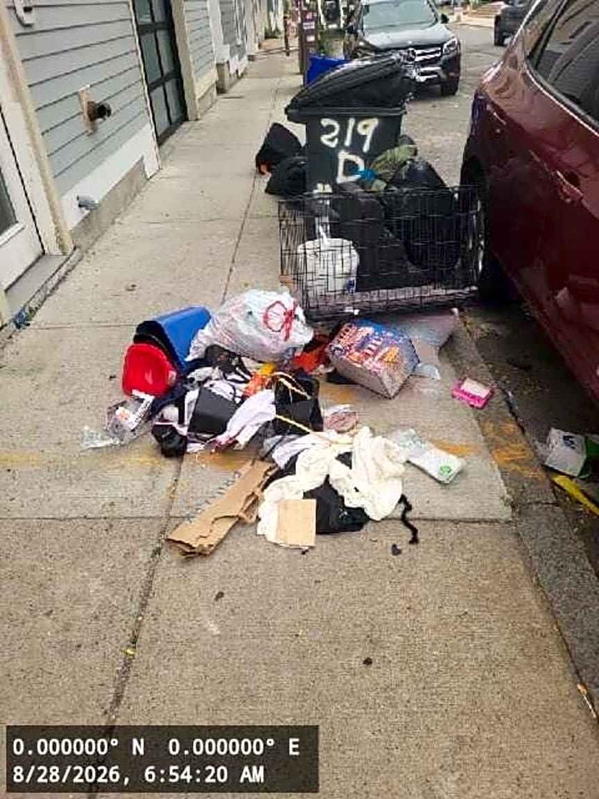 Image submitted with report