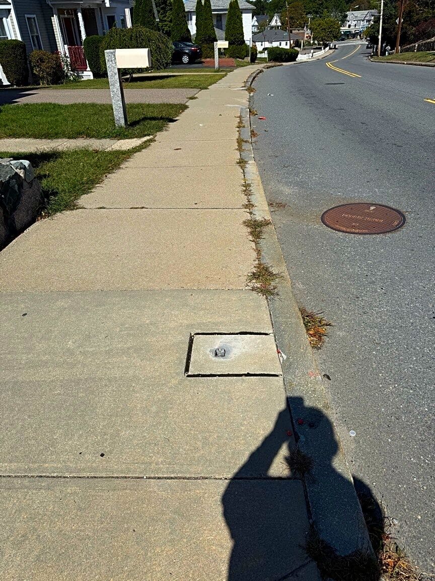 Image submitted with report