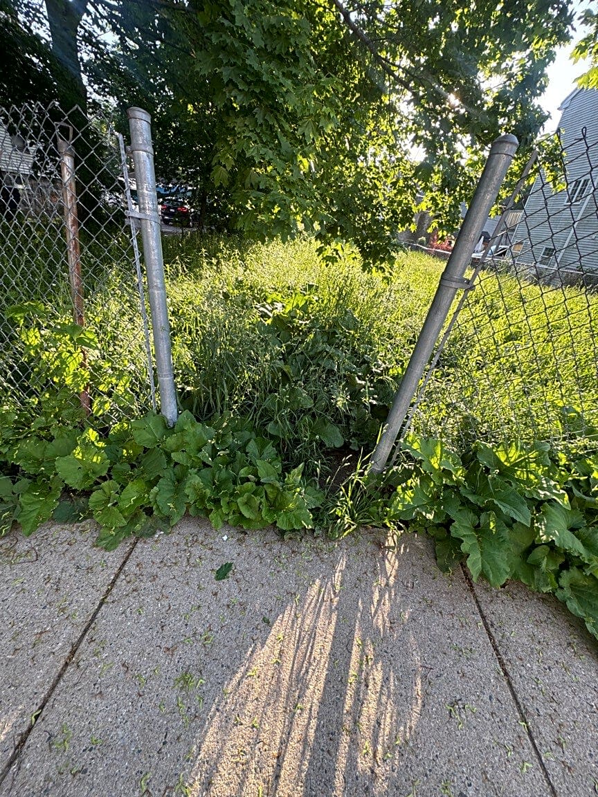 Image submitted with report