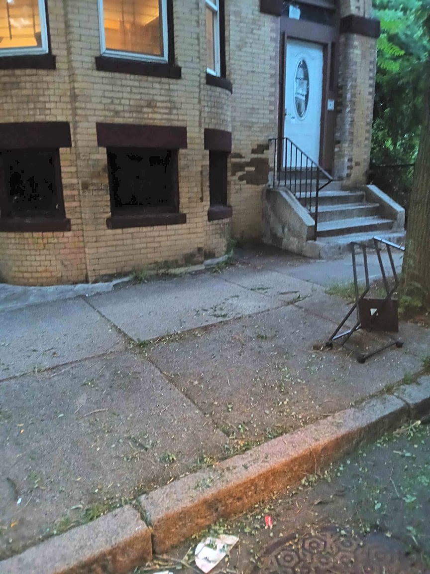 Image submitted with report