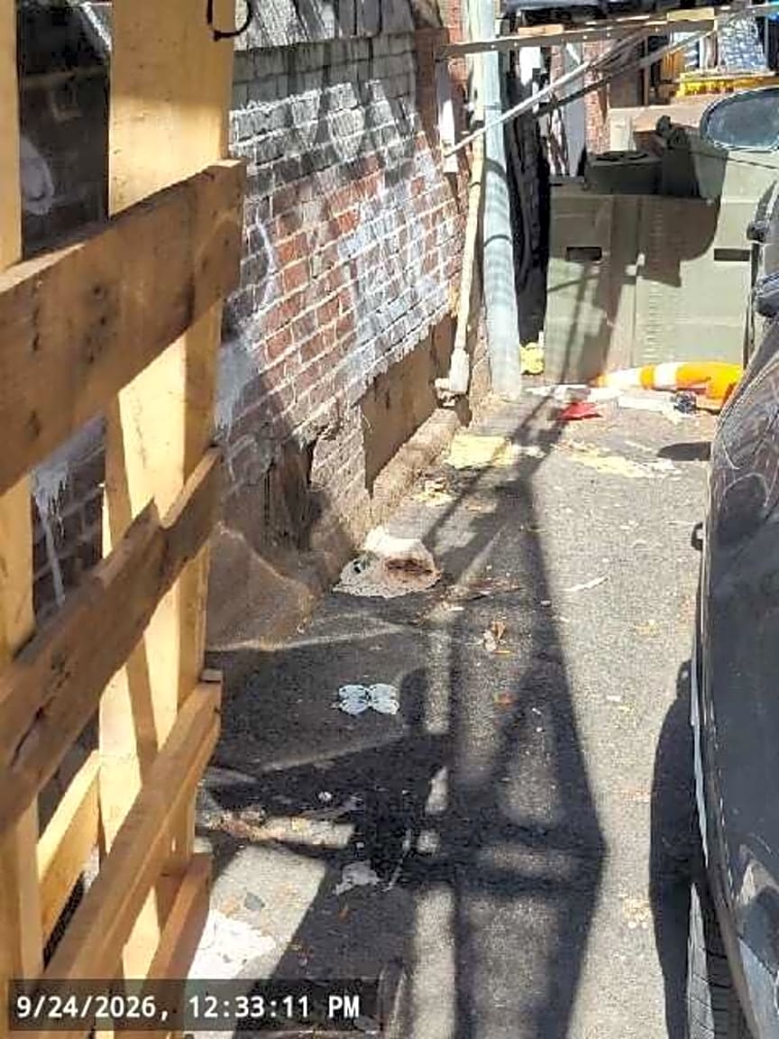 Image submitted with report