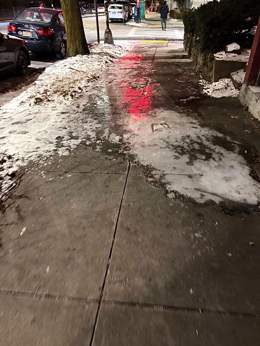 Image submitted with report