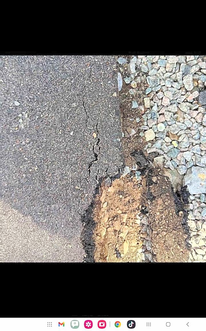 Image submitted with report