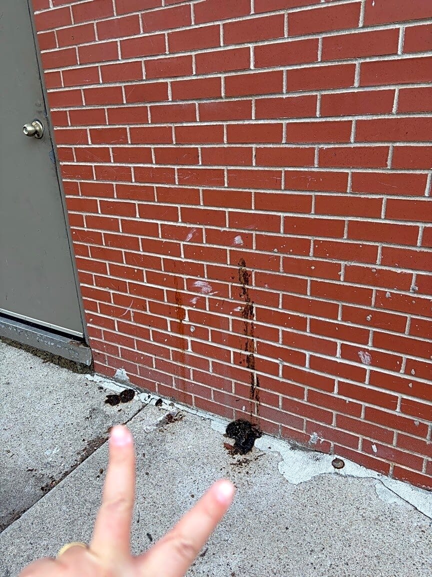 Image submitted with report
