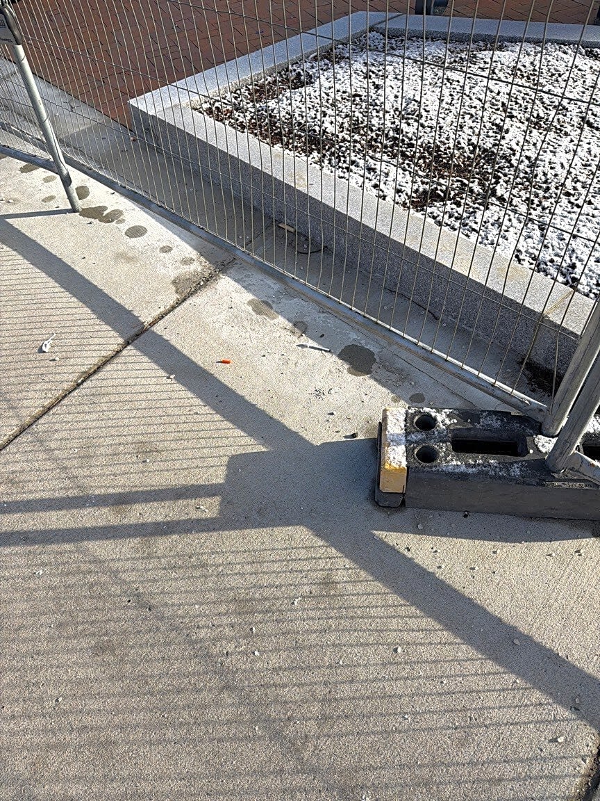 Image submitted with report