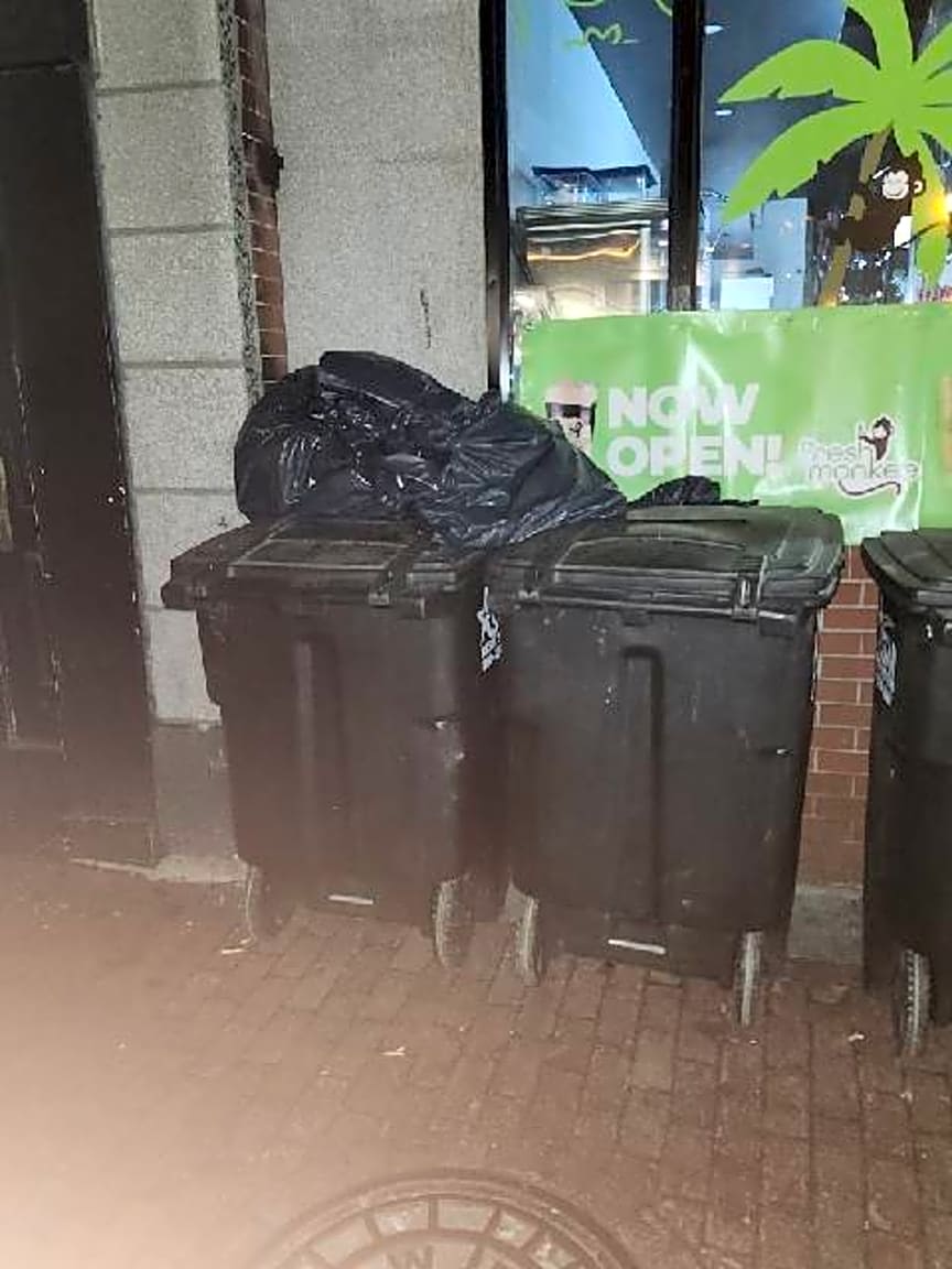 Image submitted with report