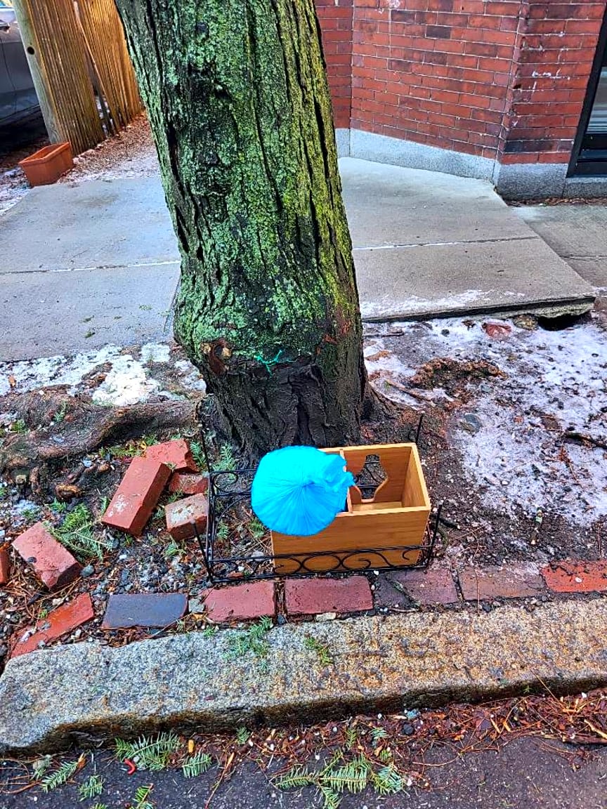 Image submitted with report