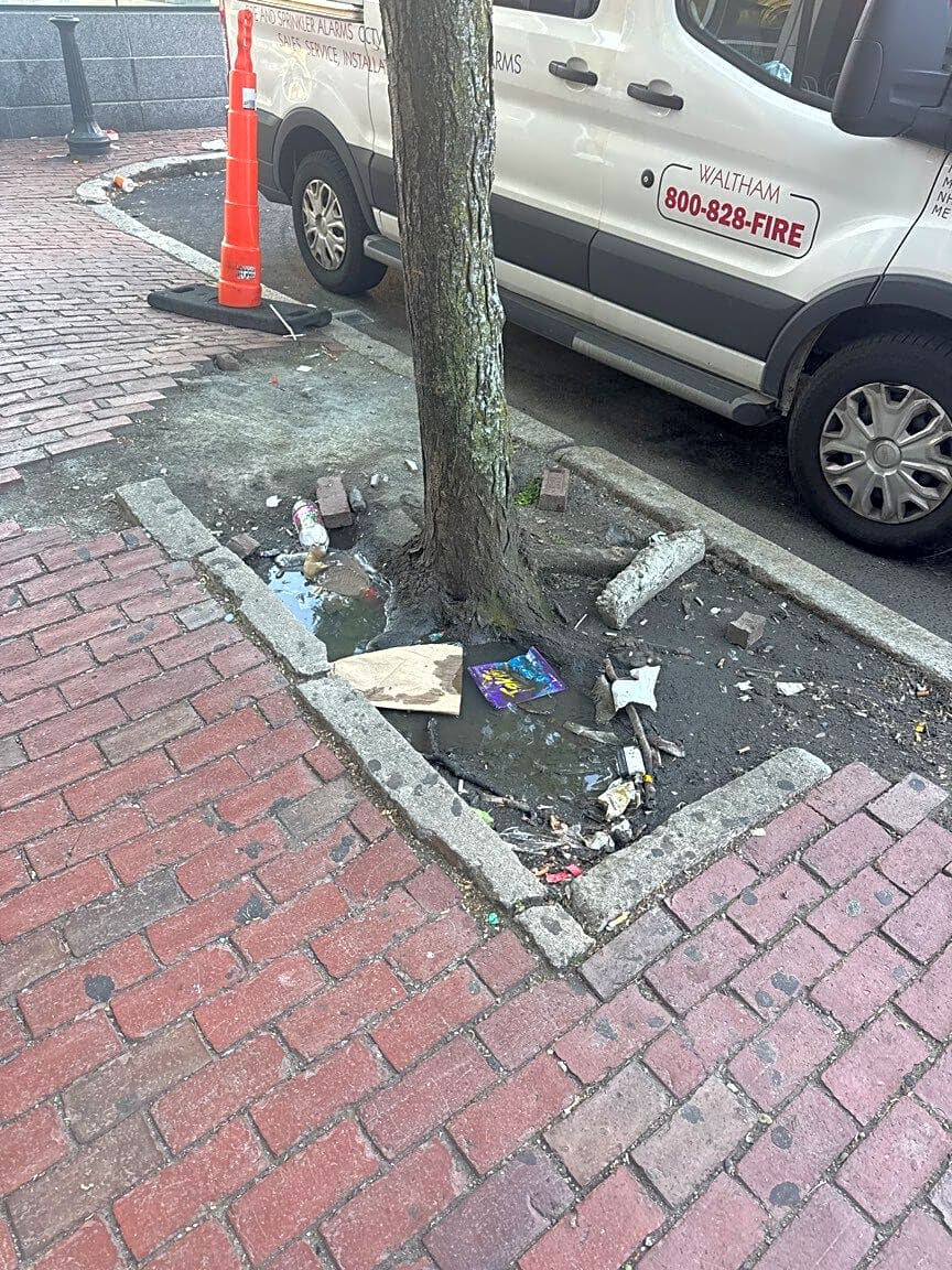 Image submitted with report