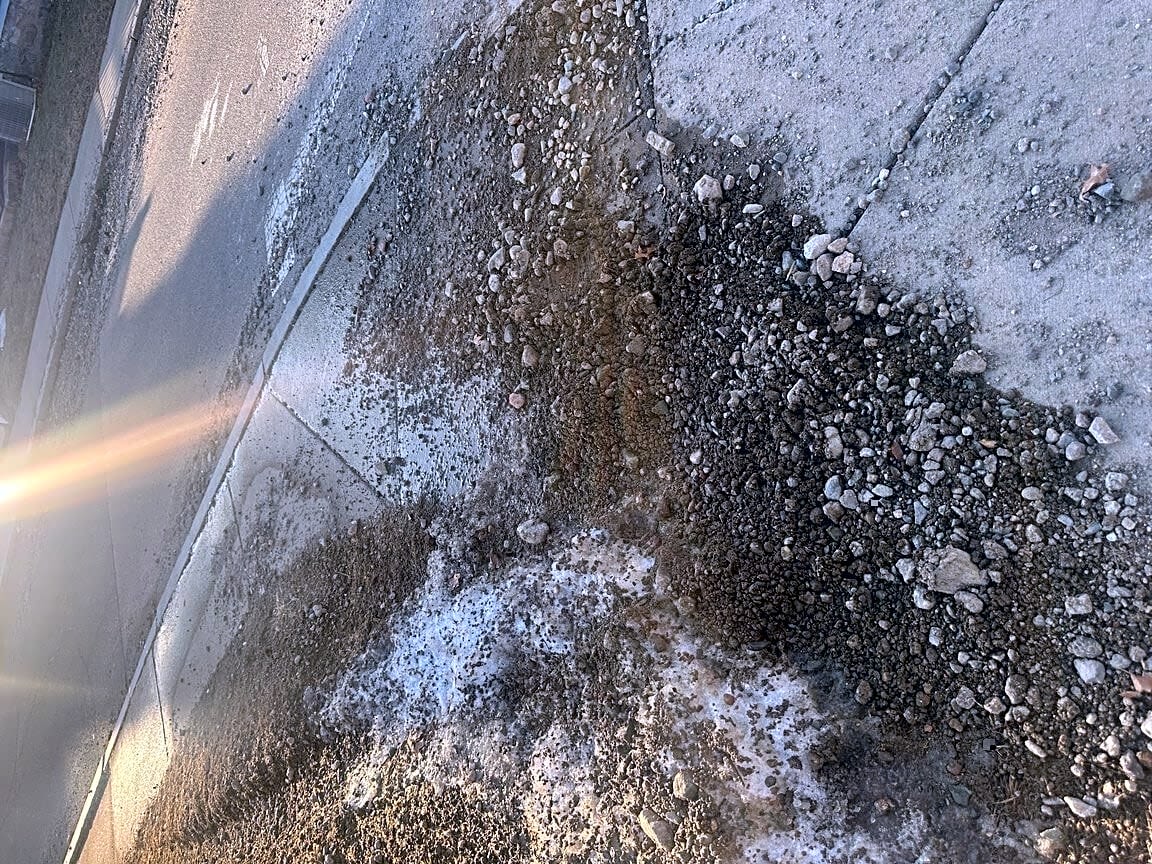 Image submitted with report