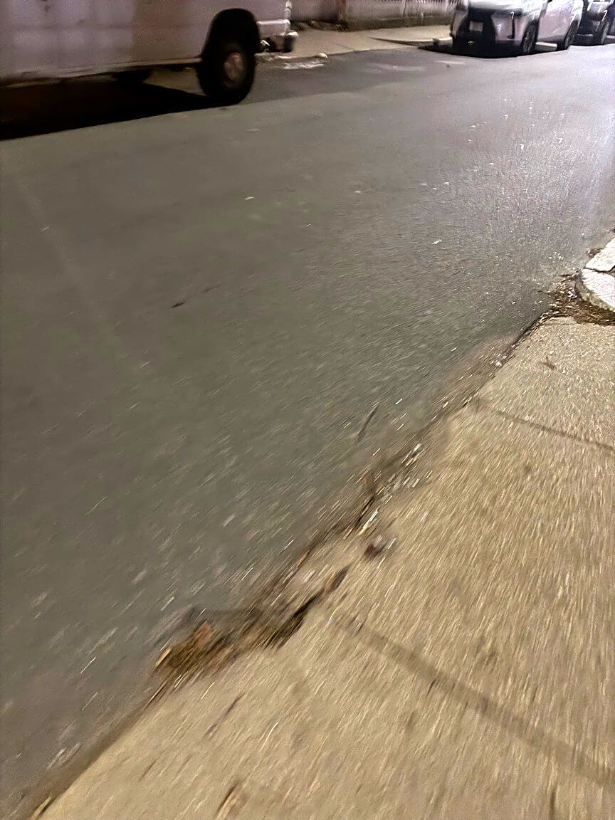 Image submitted with report