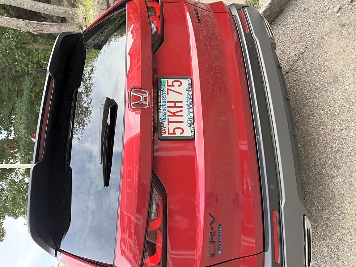 Image submitted with report