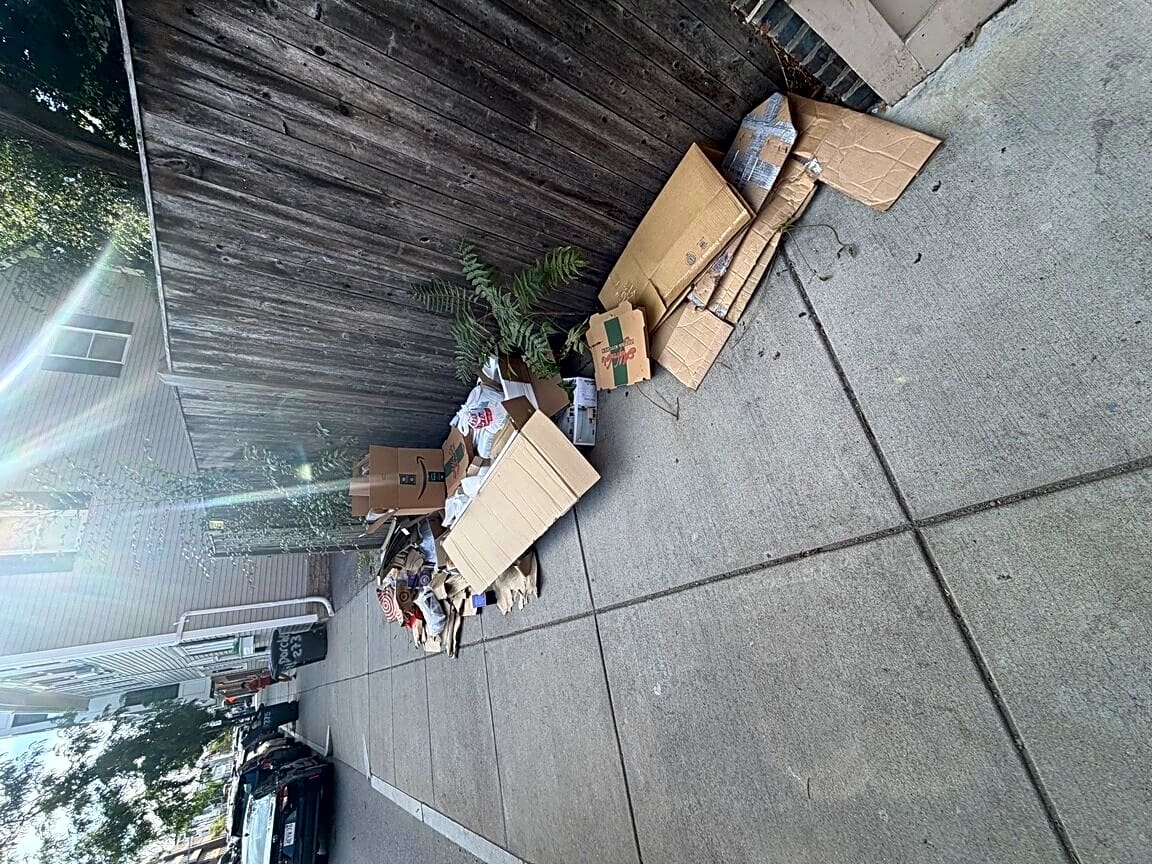 Image submitted with report