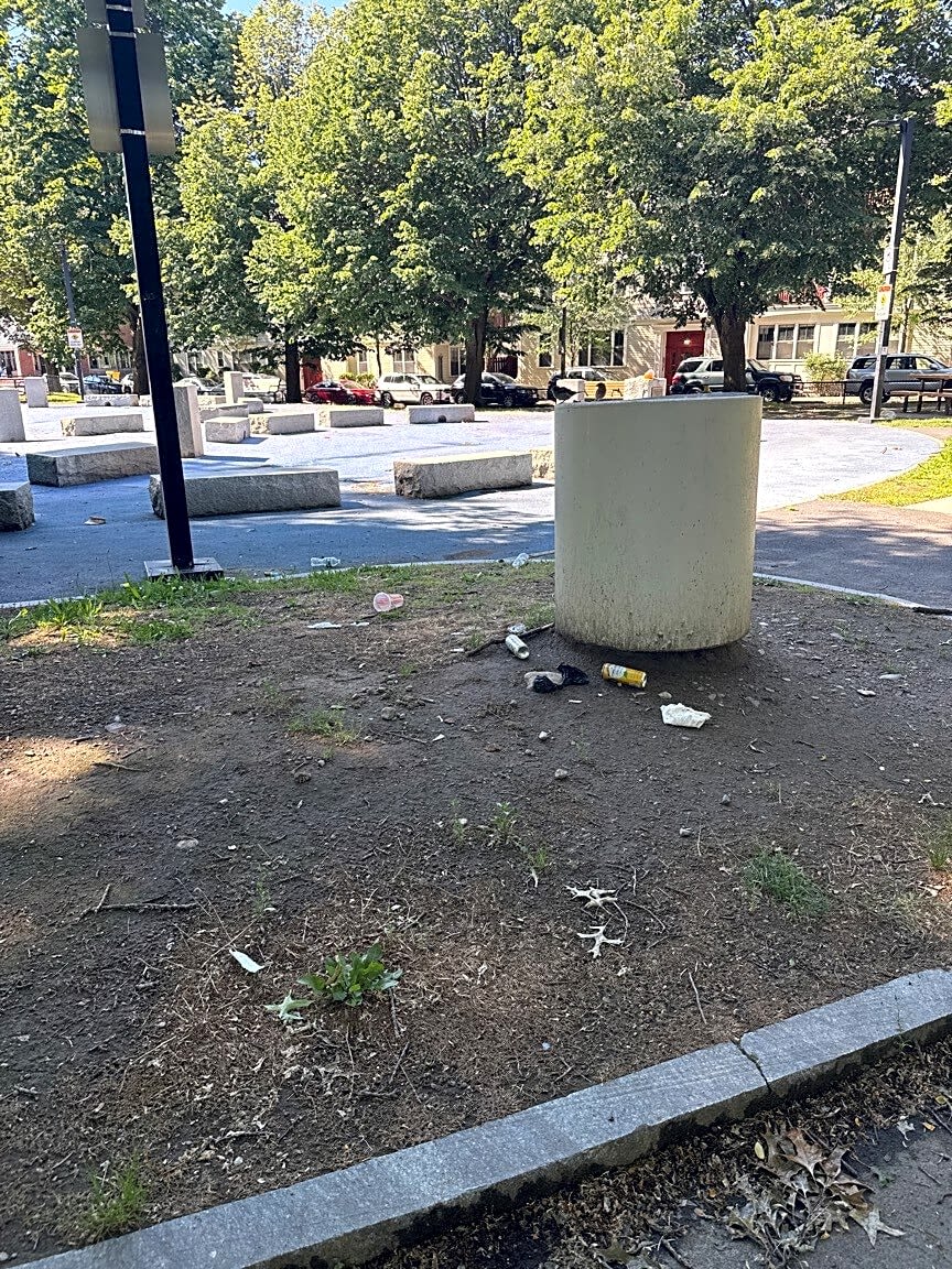 Image submitted with report