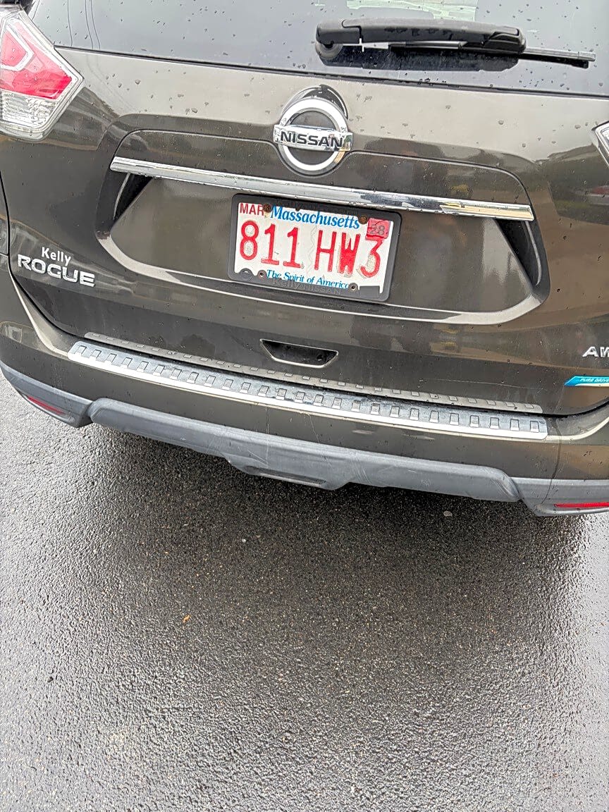 Image submitted with report