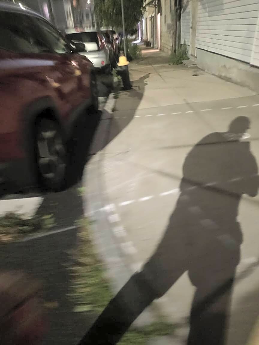 Image submitted with report