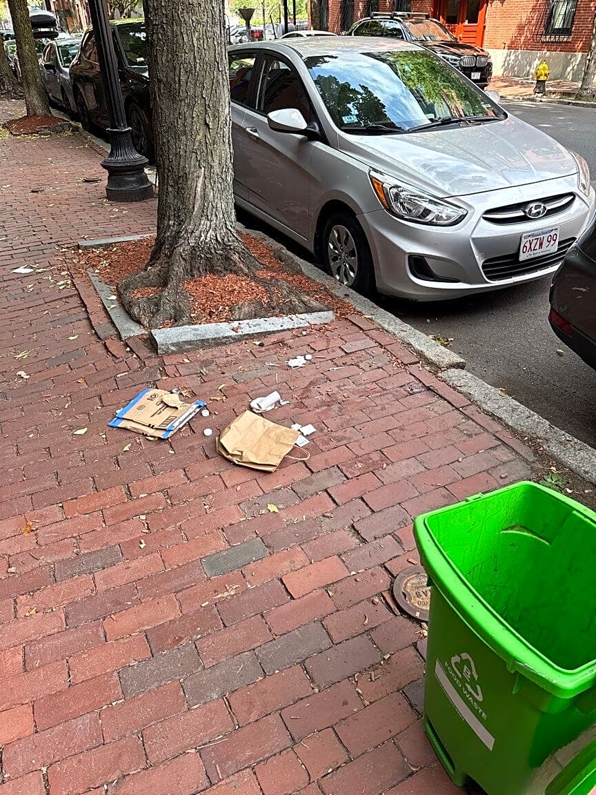 Image submitted with report
