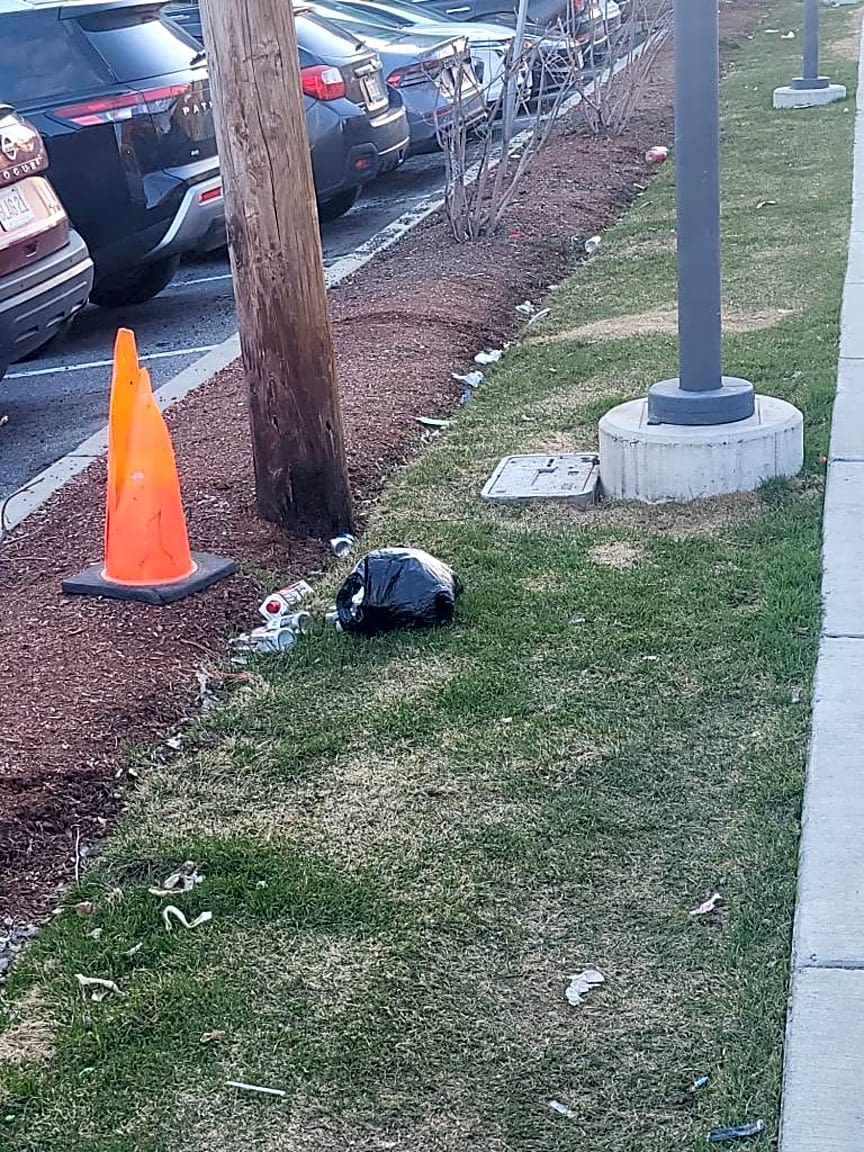 Image submitted with report