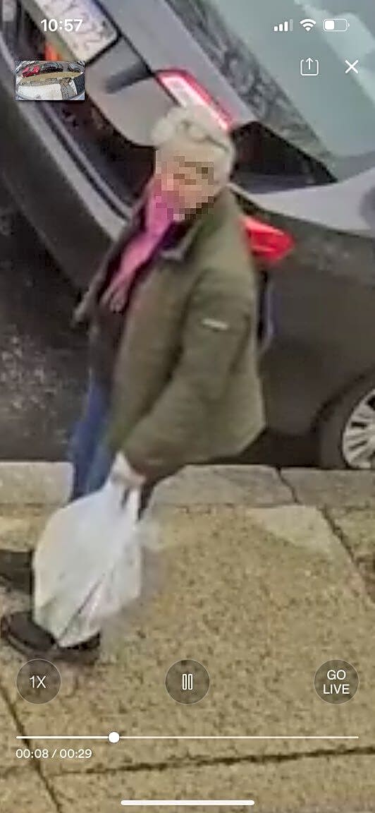 Image submitted with report