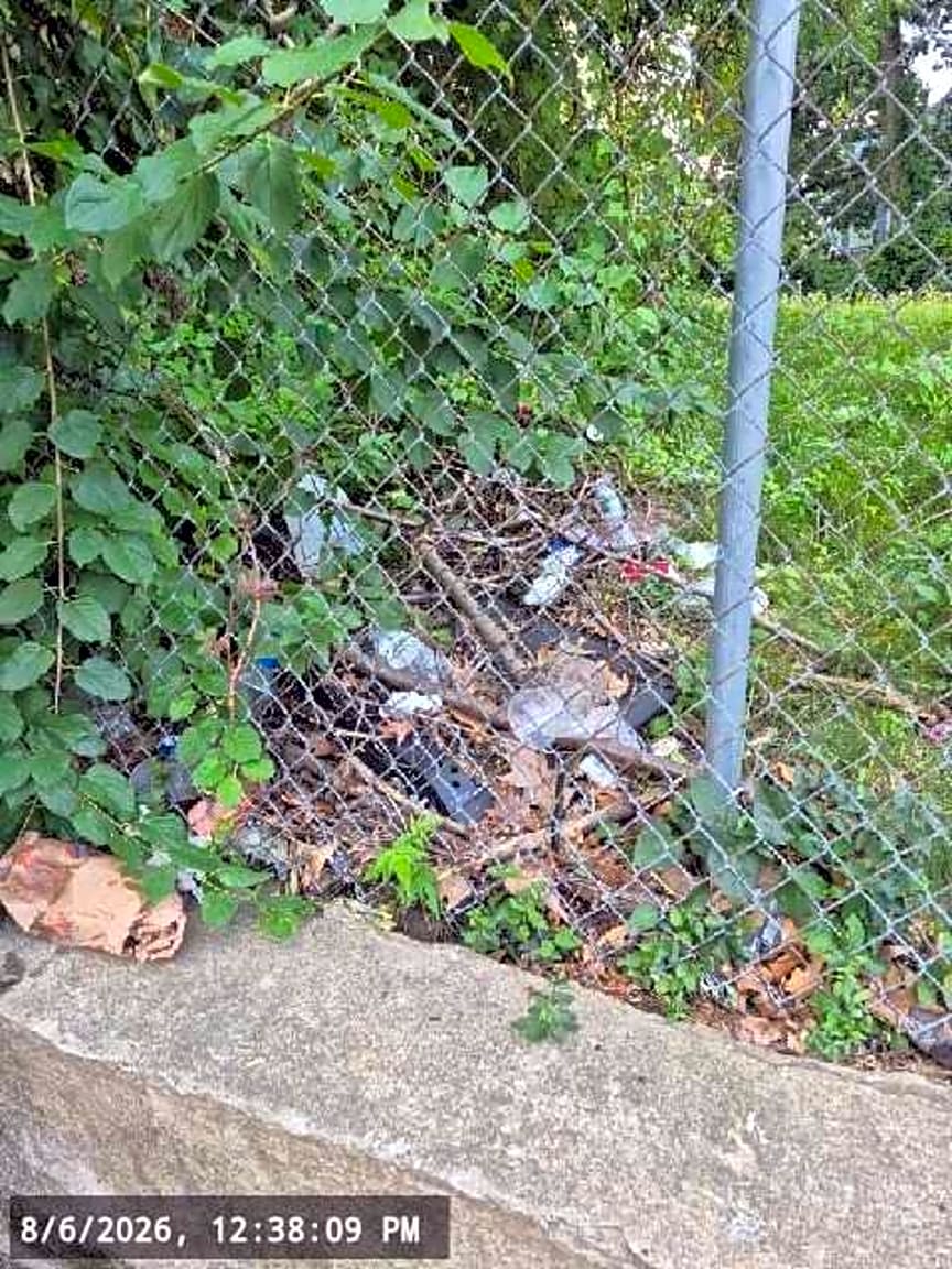Image submitted with report