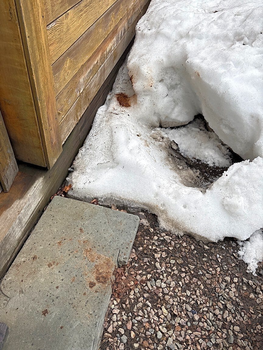 Image submitted with report