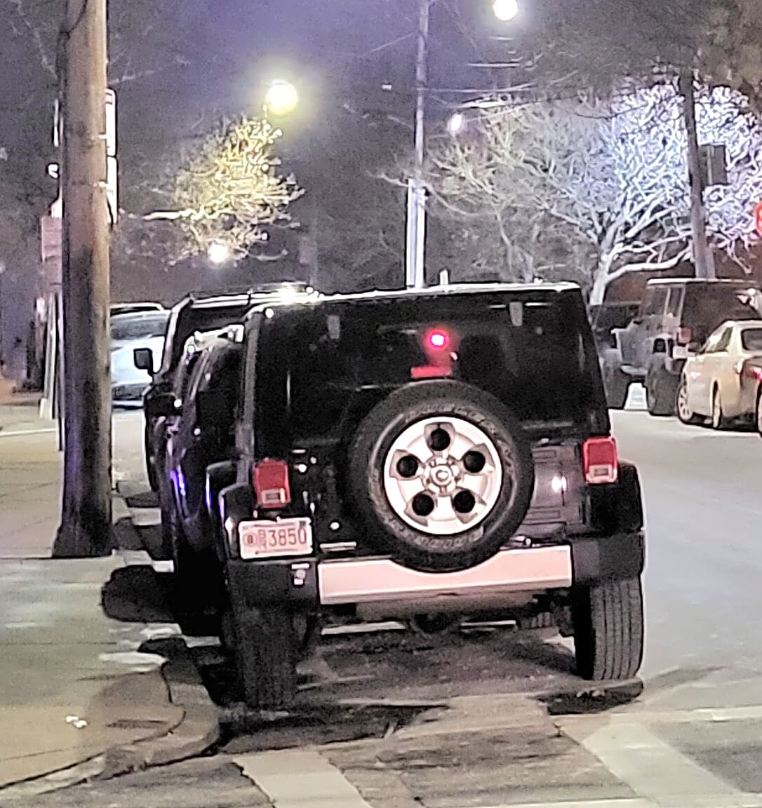 Image submitted with report