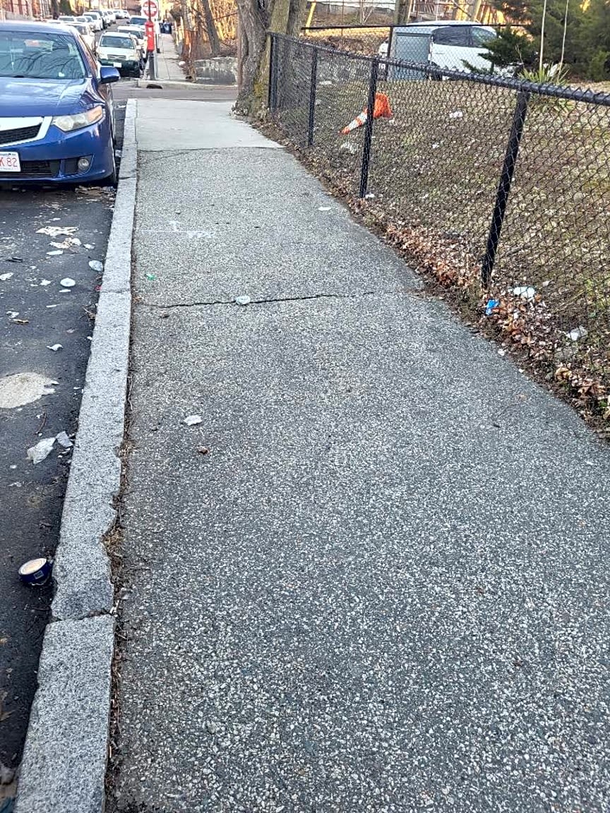 Image submitted with report