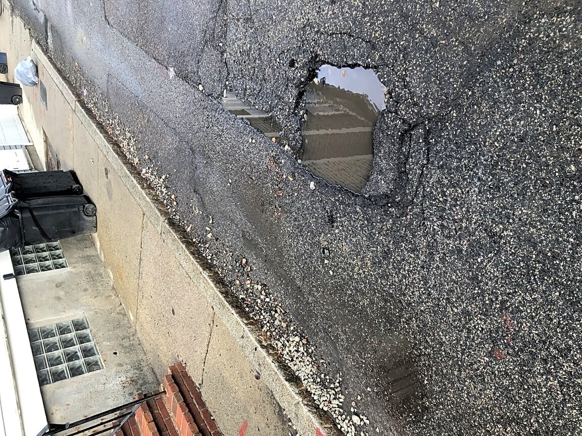 Image submitted with report