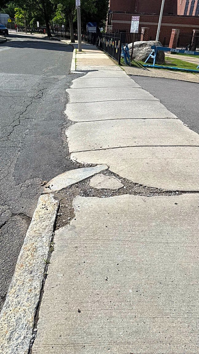 Image submitted with report