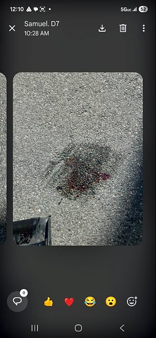 Image submitted with report