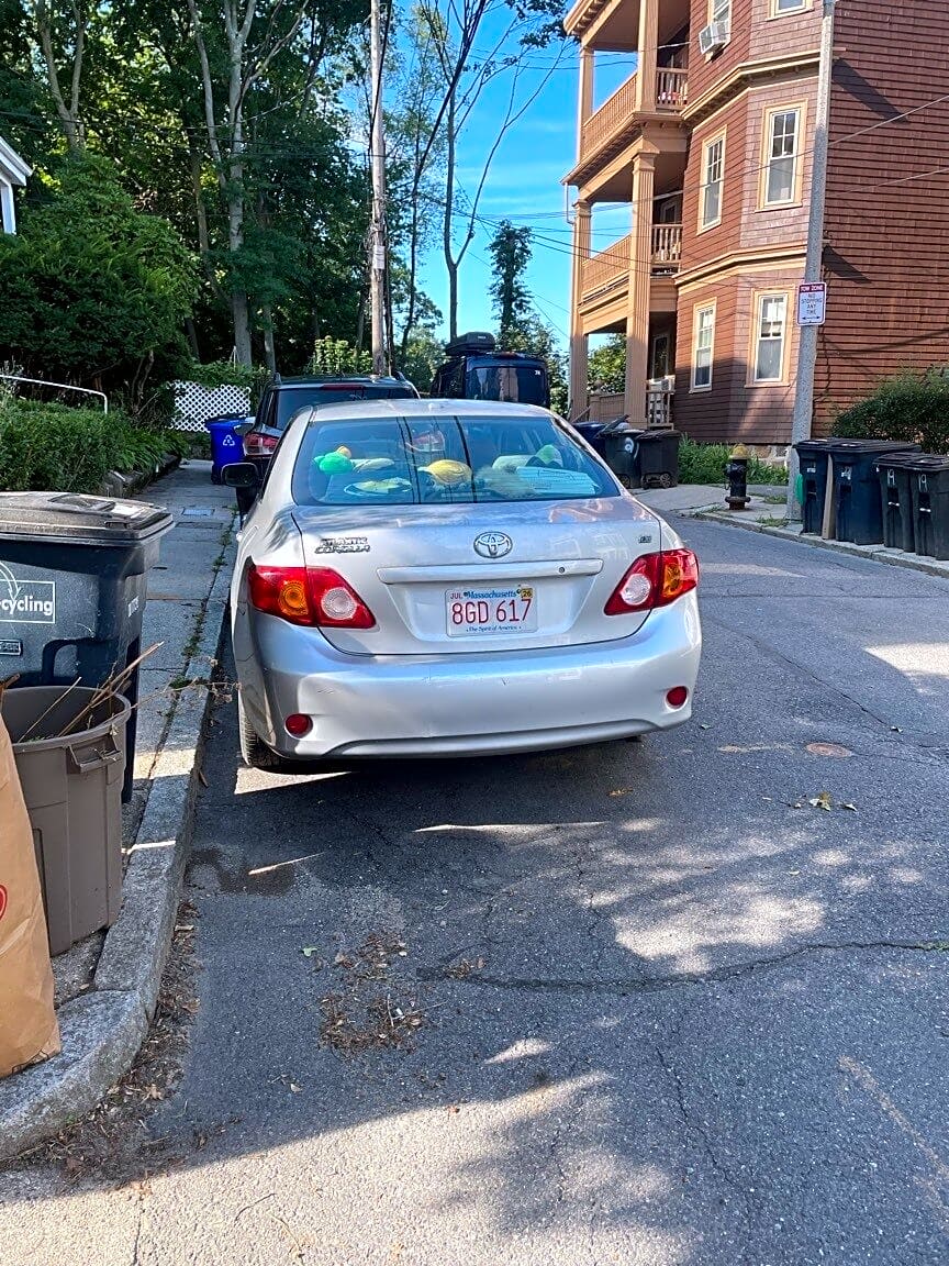 Image submitted with report
