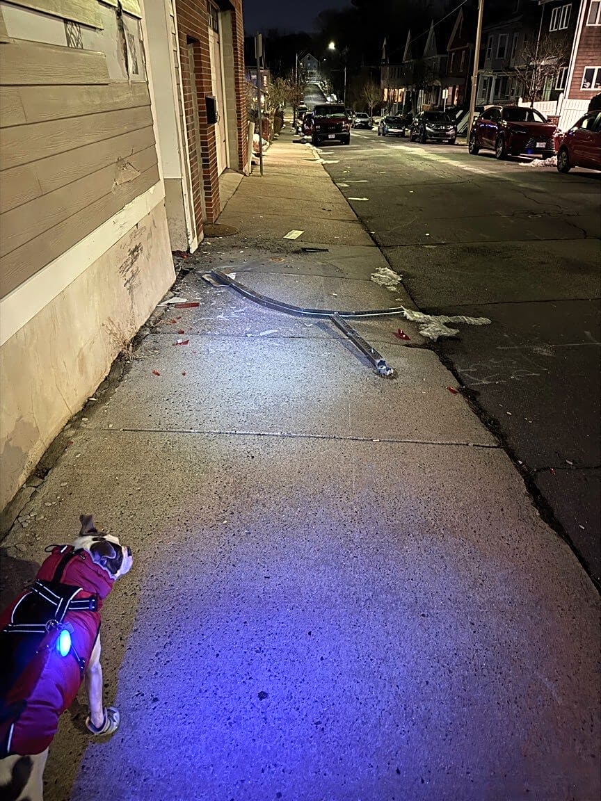 Image submitted with report