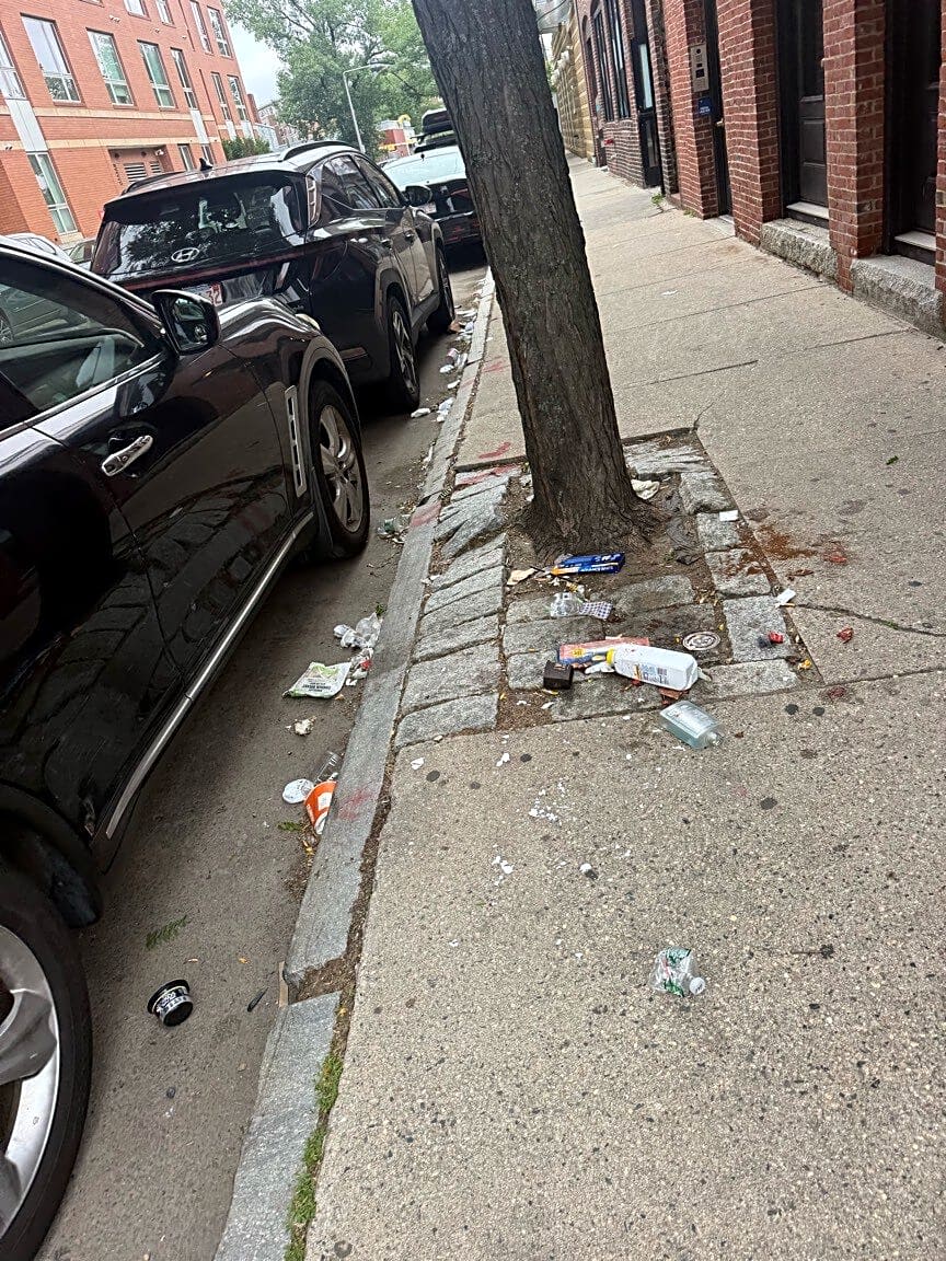 Image submitted with report