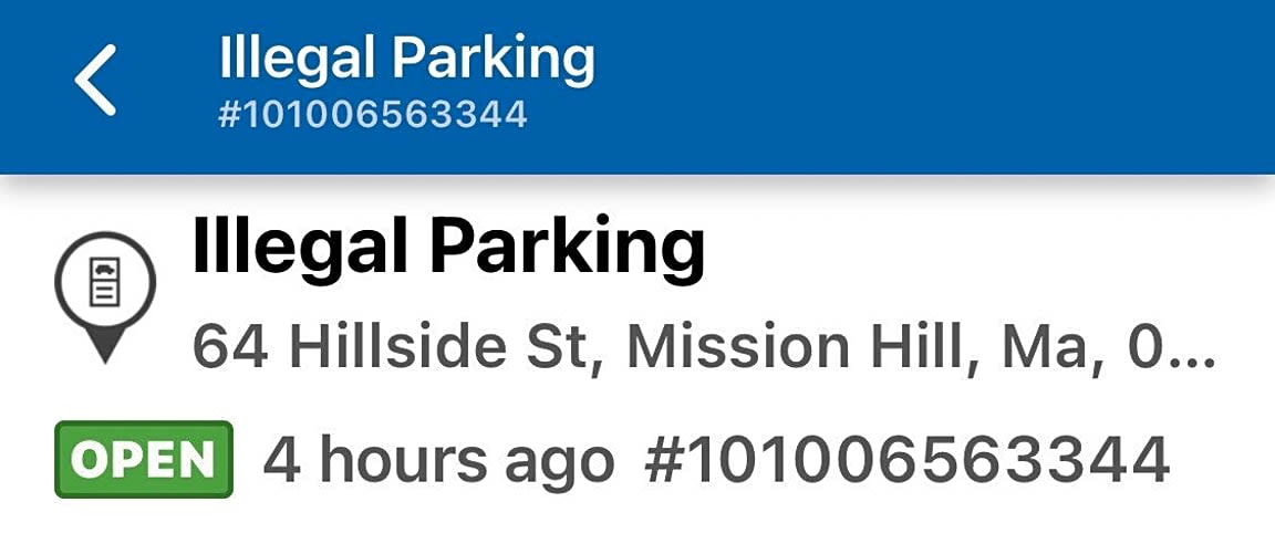 Image submitted with report