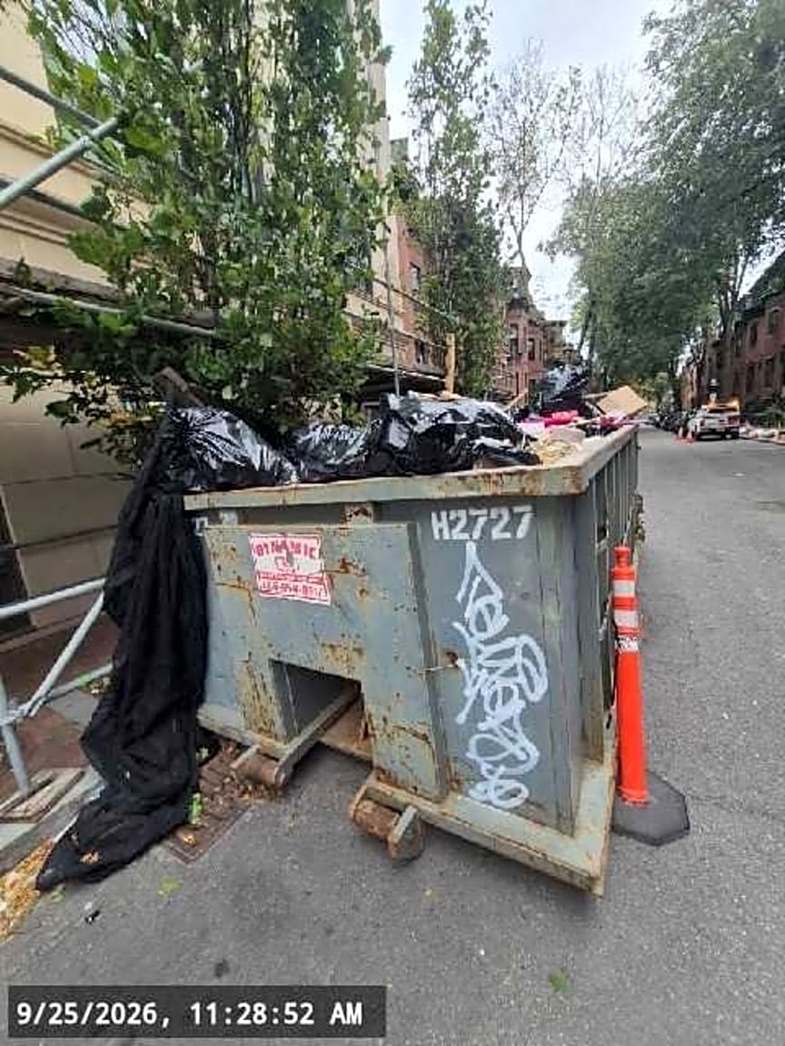 Image submitted with report