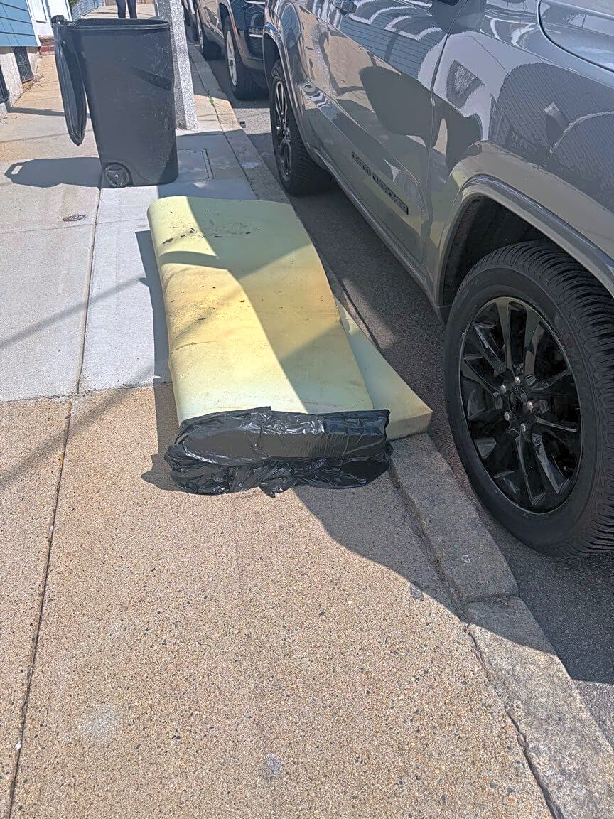 Image submitted with report