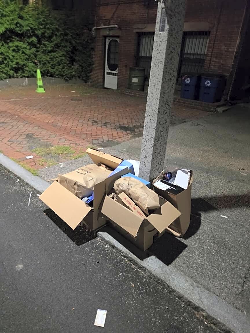 Image submitted with report