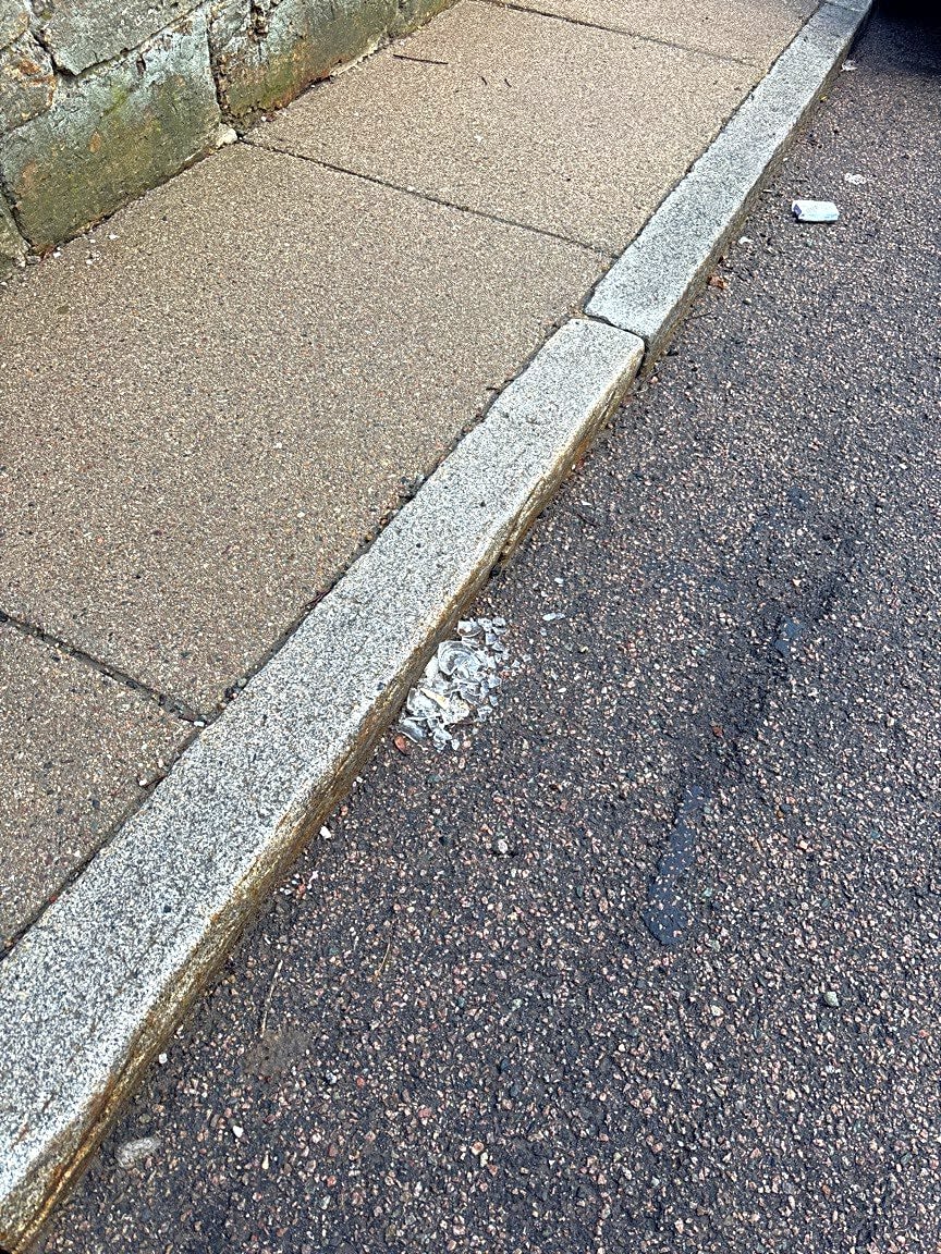 Image submitted with report