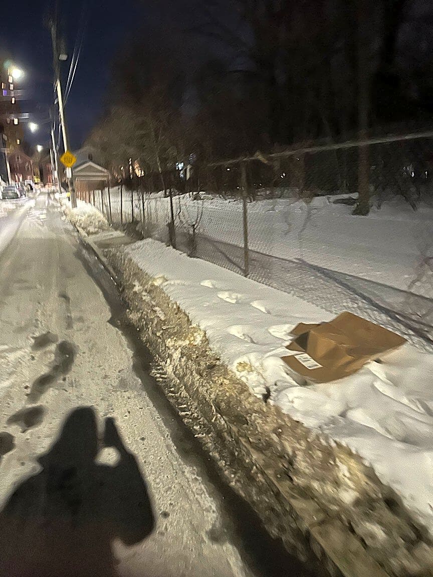 Image submitted with report