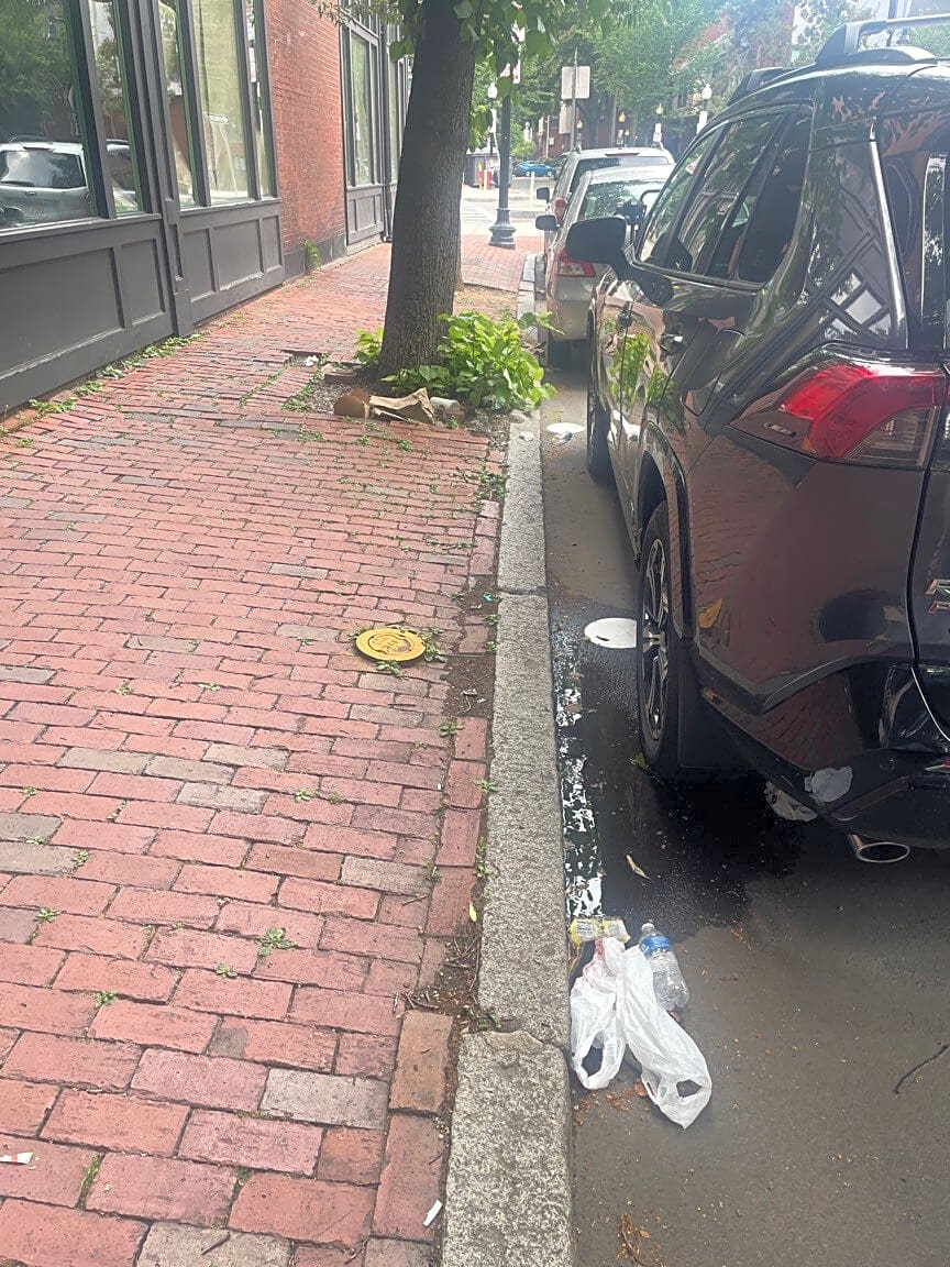 Image submitted with report