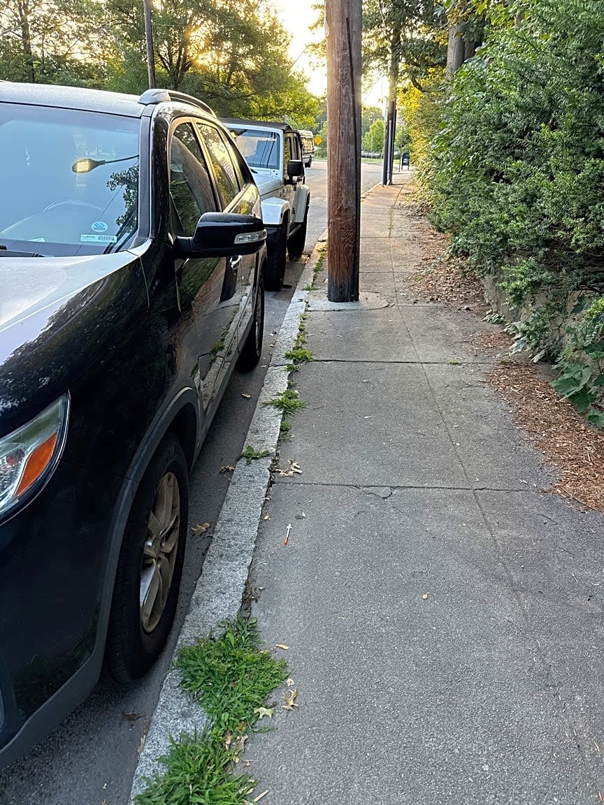 Image submitted with report