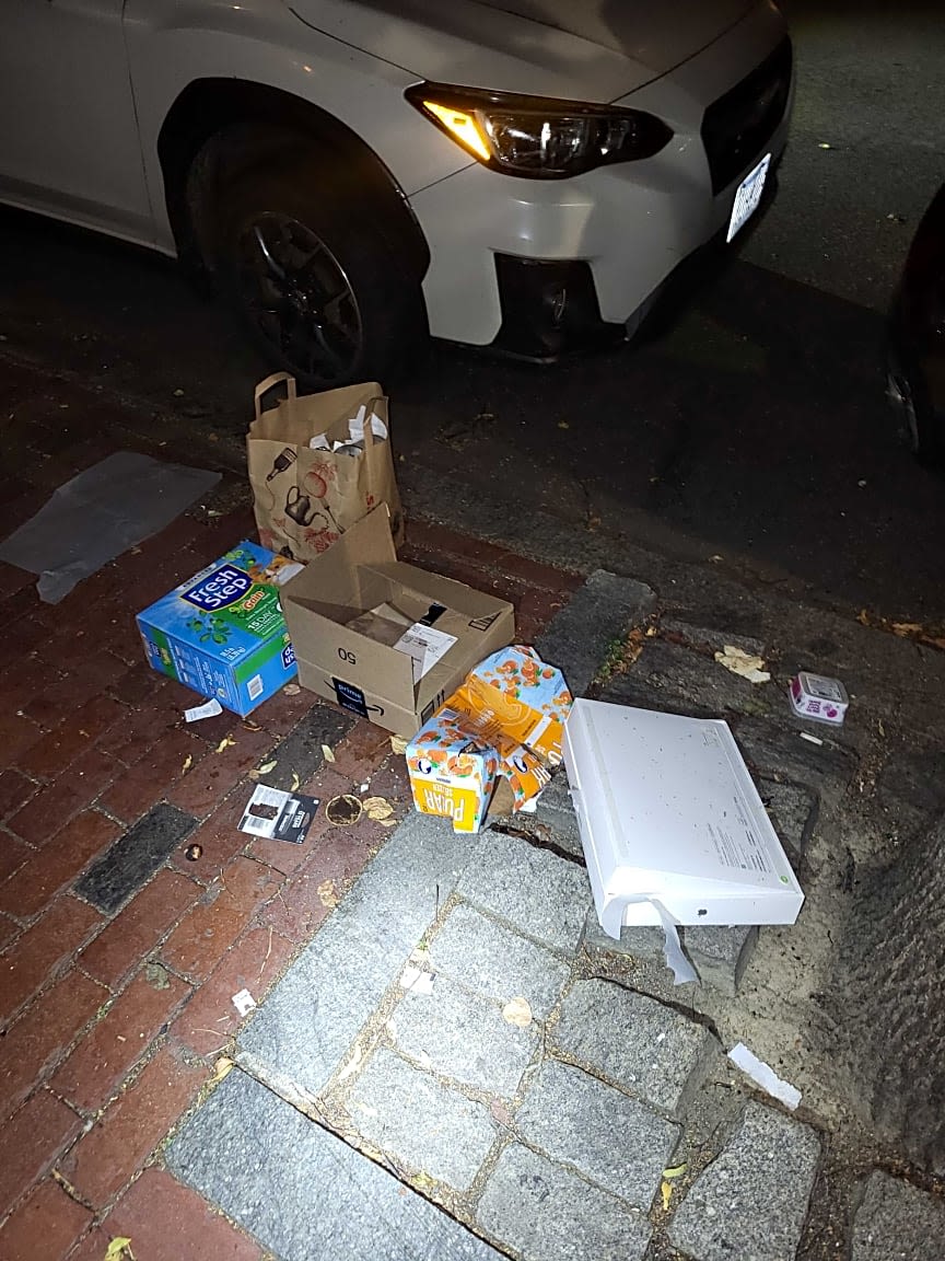 Image submitted with report