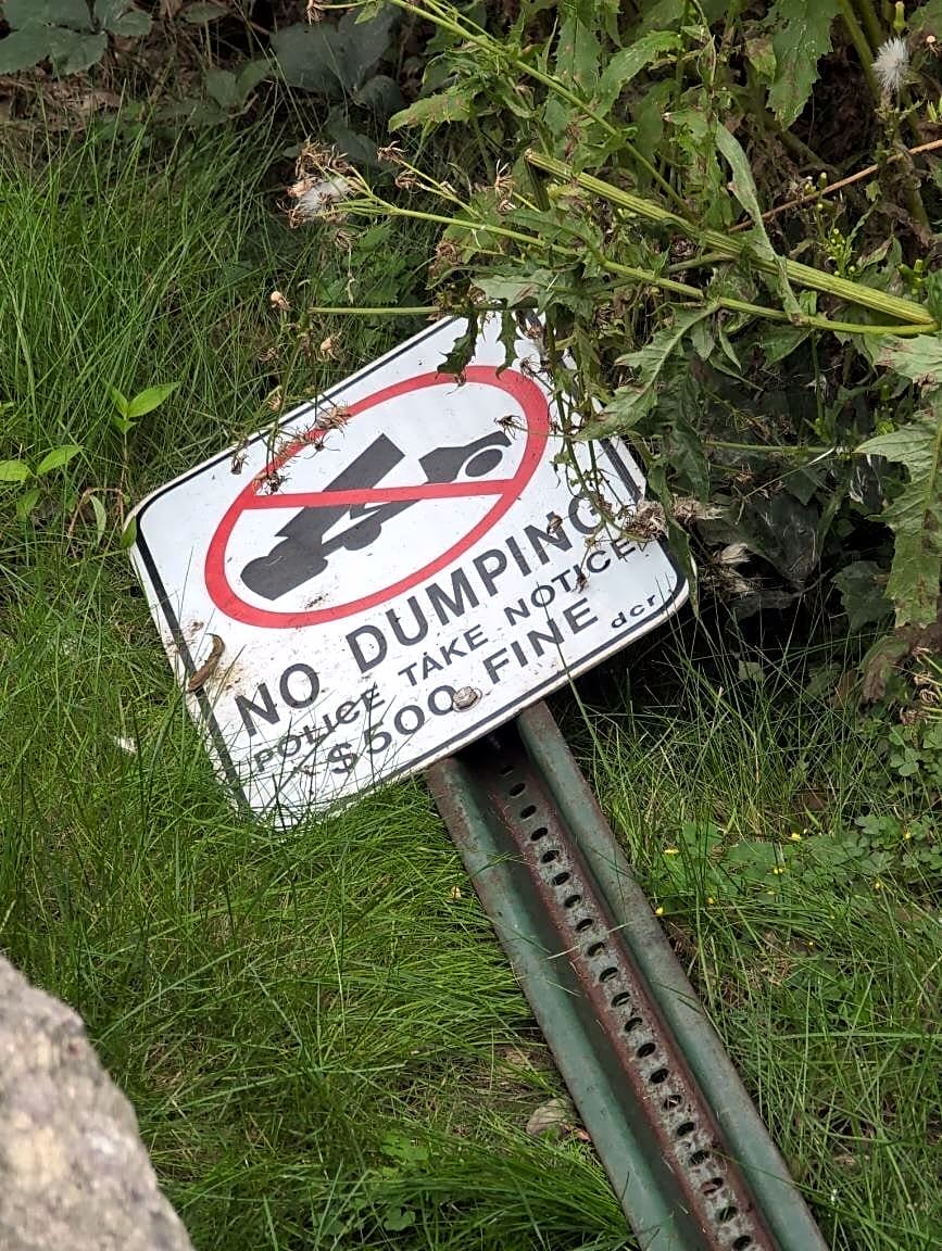 Image submitted with report