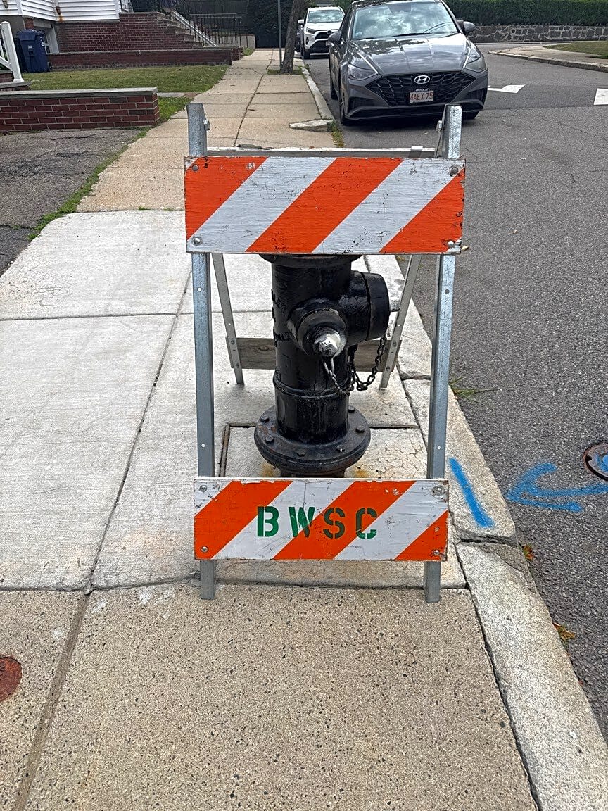 Image submitted with report