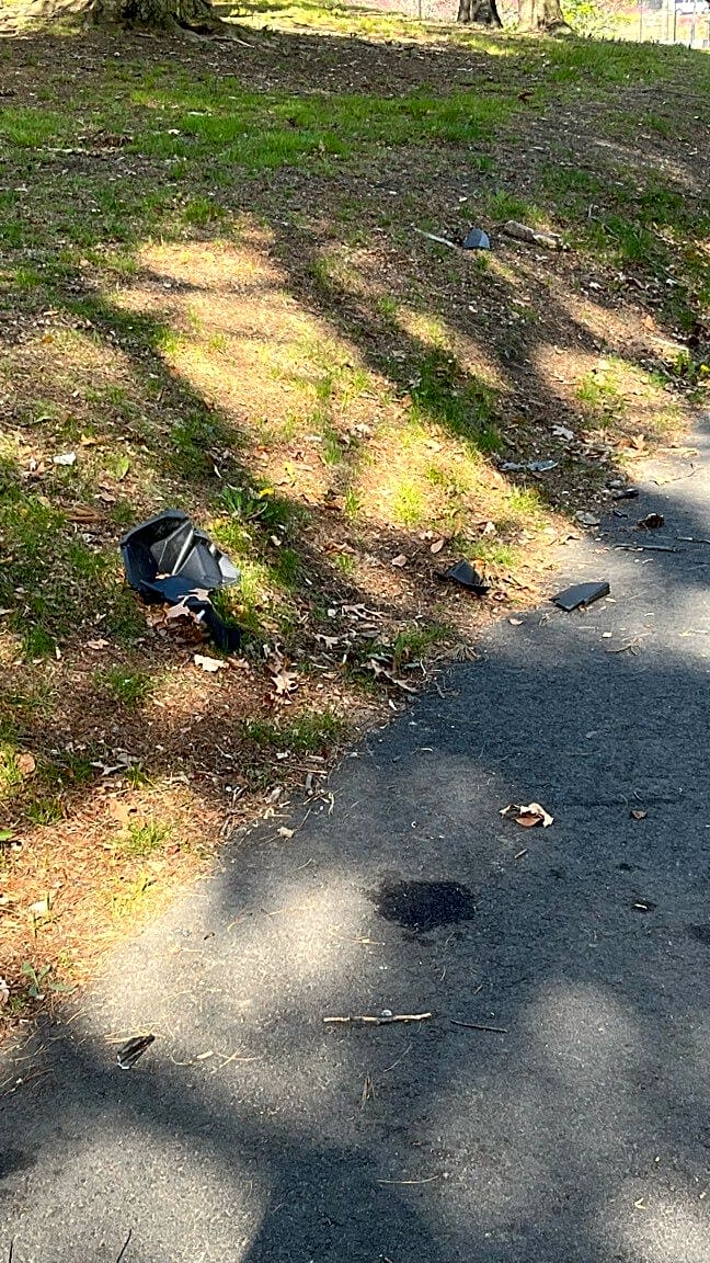 Image submitted with report