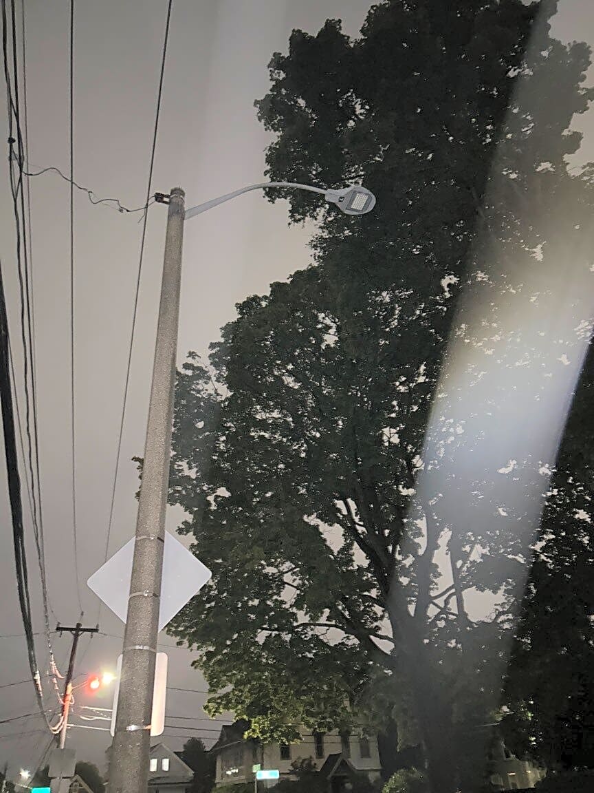 Image submitted with report