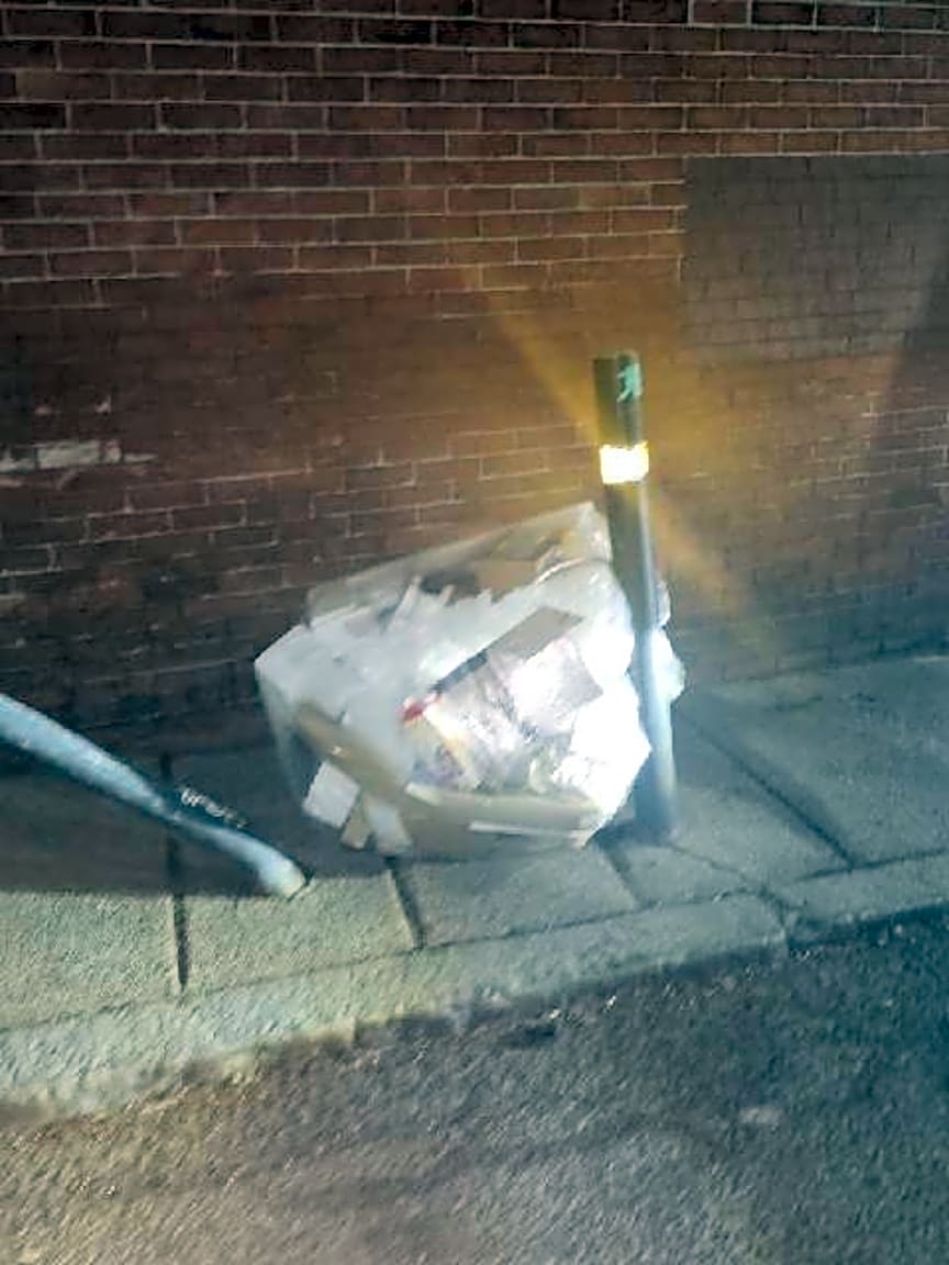 Image submitted with report