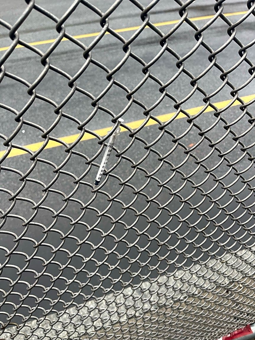 Image submitted with report