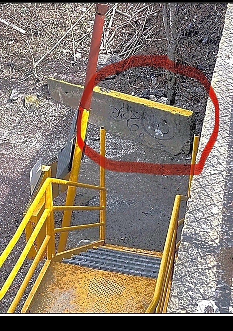 Image submitted with report