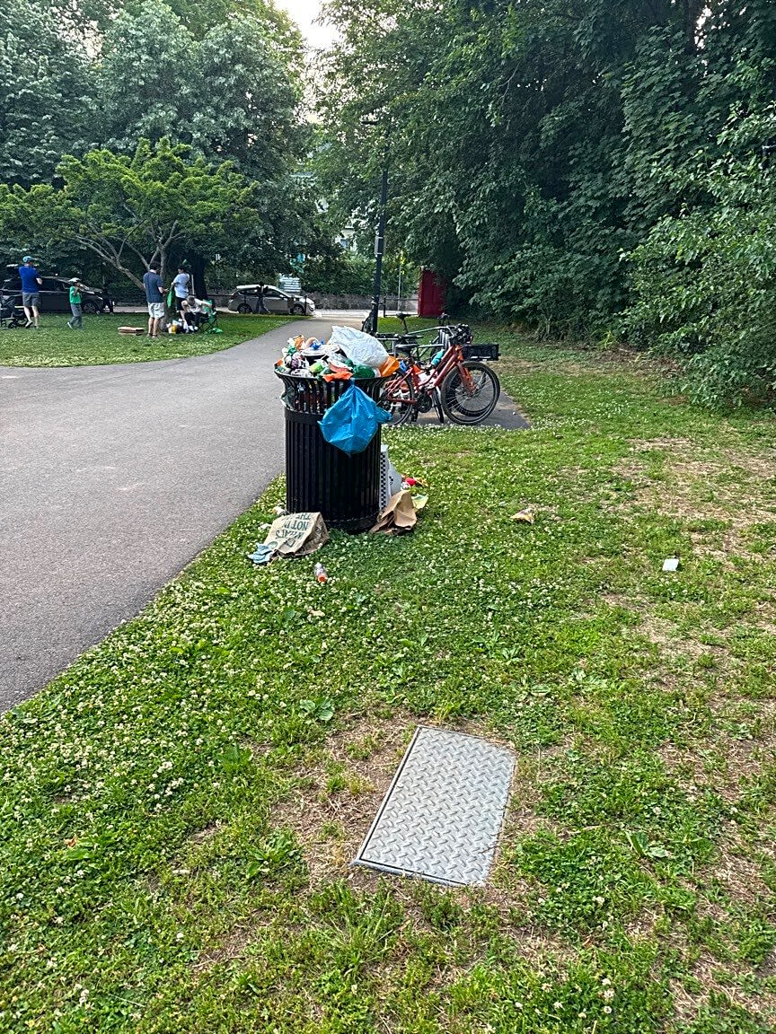 Image submitted with report