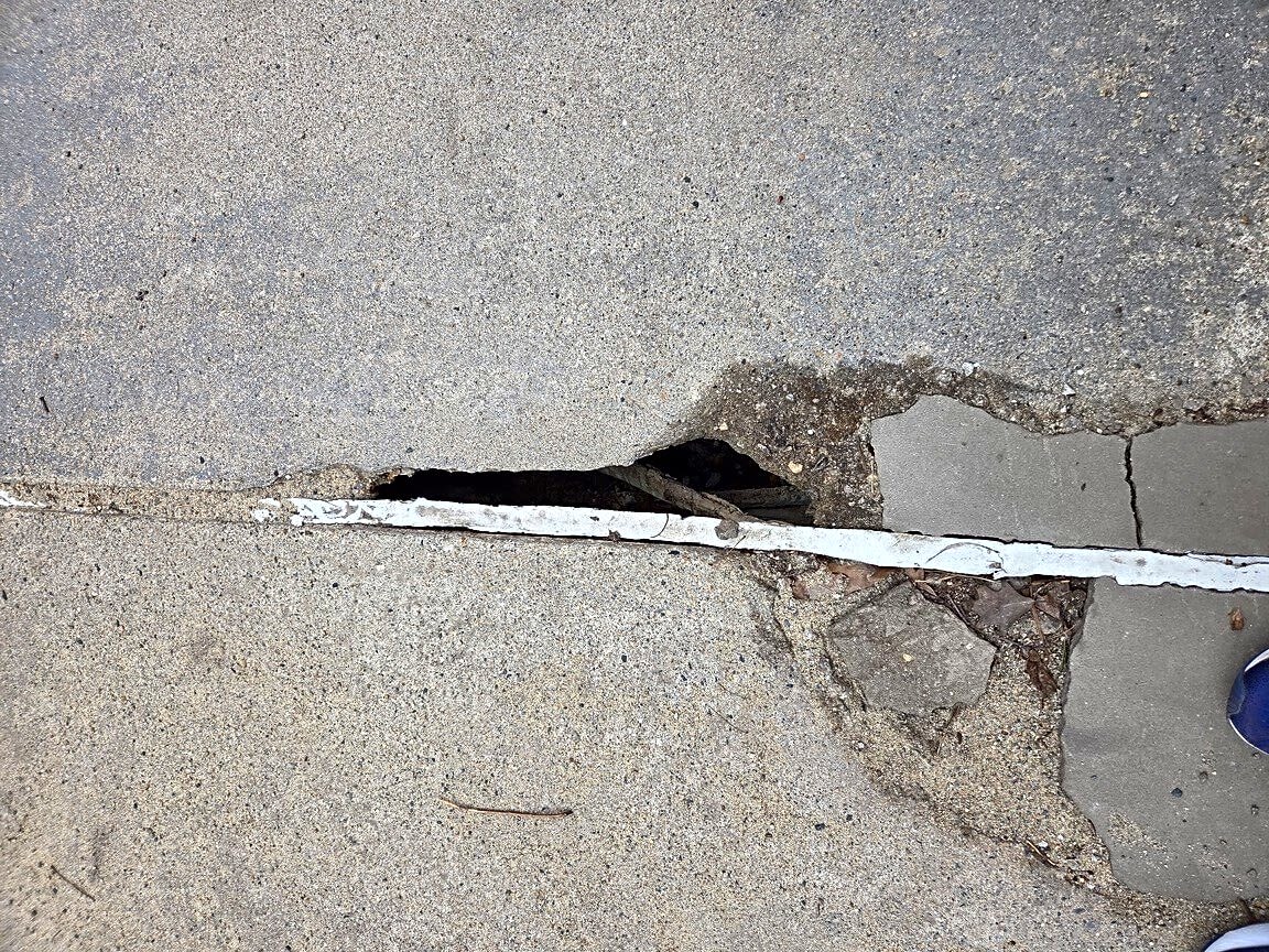 Image submitted with report